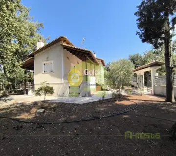 Μονοκατοικία 180τ.μ. προς πώληση φωτογραφία 8