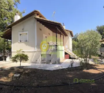 Μονοκατοικία 180τ.μ. προς πώληση φωτογραφία 12