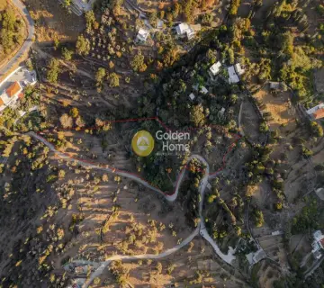 Golden Home Property Image