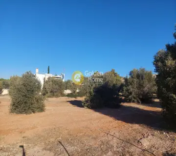 Οικιστικό 3000τ.μ. προς πώληση φωτογραφία 4505160