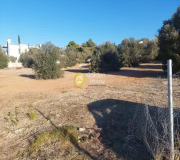 Οικιστικό 3000τ.μ. προς πώληση φωτογραφία 4505161