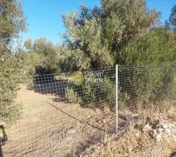 Οικιστικό 3000τ.μ. προς πώληση φωτογραφία 4505169