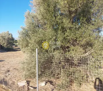 Οικιστικό 3000τ.μ. προς πώληση φωτογραφία 4505165