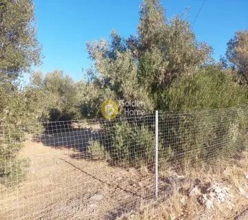 Οικιστικό 3000τ.μ. προς πώληση φωτογραφία 4505162
