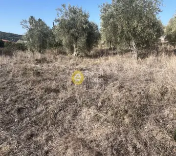 Parcel 800m<sup>2</sup> for sale photo 4520159