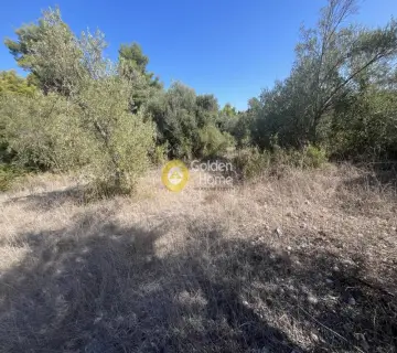 Parcel 1000m<sup>2</sup> for sale photo 4520165