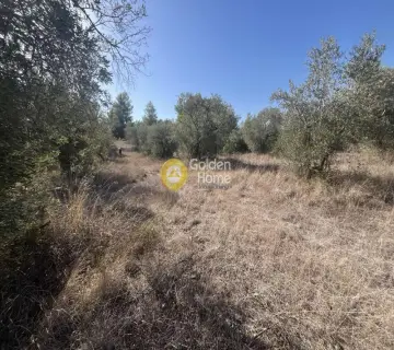 Parcel 1000m<sup>2</sup> for sale photo 4520167