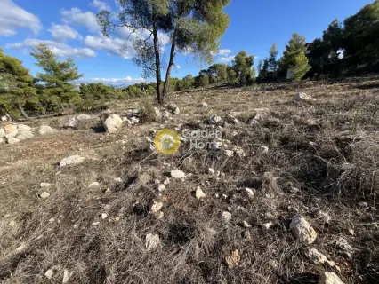 Residential 1070m<sup>2</sup> for sale photo 7