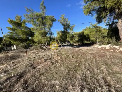 Residential 1070m<sup>2</sup> for sale photo 6