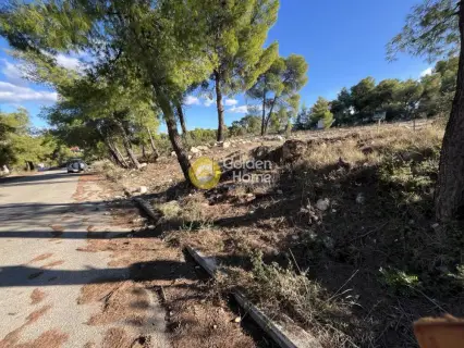 Residential 1070m<sup>2</sup> for sale photo 4