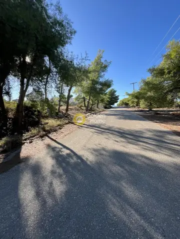 Residential 1070m<sup>2</sup> for sale photo 2