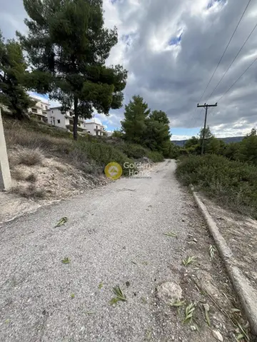 Residential 1070m<sup>2</sup> for sale photo 9