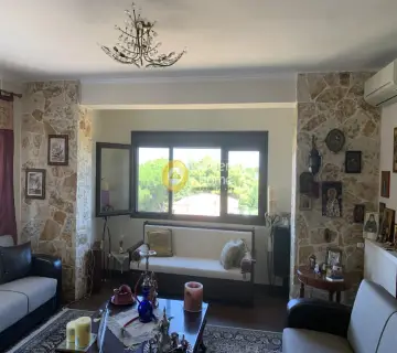 Μονοκατοικία 318τ.μ. προς πώληση φωτογραφία 4533833