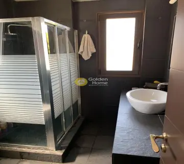Μονοκατοικία 318τ.μ. προς πώληση φωτογραφία 4533838
