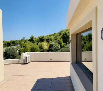 Μονοκατοικία 318τ.μ. προς πώληση φωτογραφία 4533847