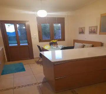 Μονοκατοικία 330τ.μ. προς πώληση φωτογραφία 38