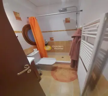 Μονοκατοικία 330τ.μ. προς πώληση φωτογραφία 89