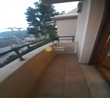 Μονοκατοικία 330τ.μ. προς πώληση φωτογραφία 93