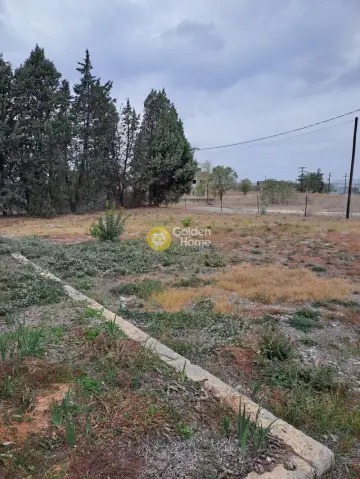 Industrial 216m<sup>2</sup> for sale photo 29