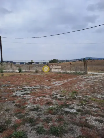 Industrial 216m<sup>2</sup> for sale photo 30