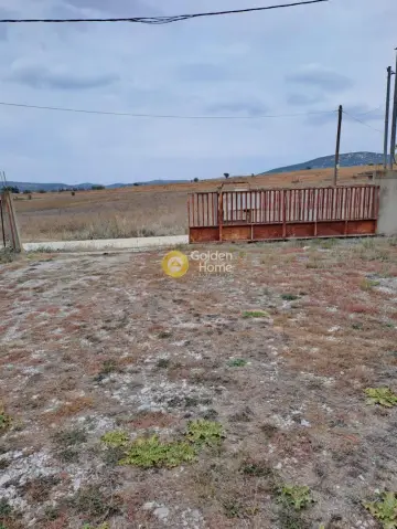 Industrial 216m<sup>2</sup> for sale photo 31