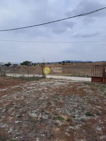 Industrial 216m<sup>2</sup> for sale photo 32