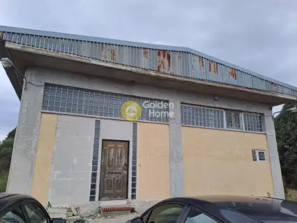 Industrial 216m<sup>2</sup> for sale photo 5