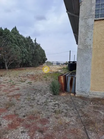 Industrial 216m<sup>2</sup> for sale photo 37