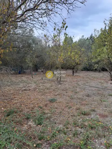 Industrial 216m<sup>2</sup> for sale photo 38