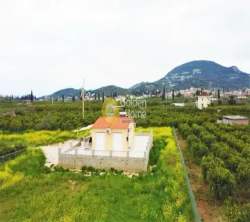 Golden Home Property Image