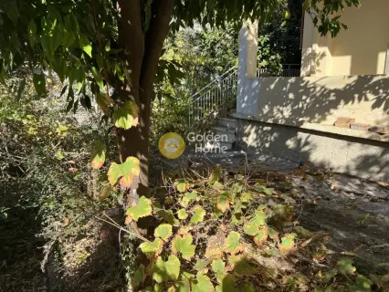 Κτίριο 216τ.μ. προς πώληση φωτογραφία 4