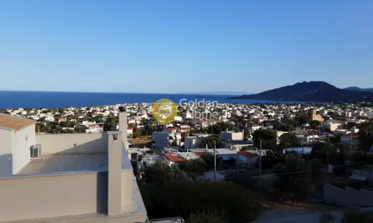 Μονοκατοικία 530τ.μ. προς πώληση φωτογραφία 2