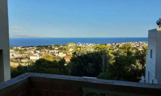 Μονοκατοικία 530τ.μ. προς πώληση φωτογραφία 19