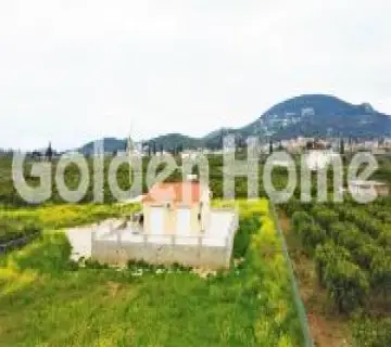 Golden Home Property Image