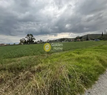 Residential 5662m<sup>2</sup> for sale photo 3