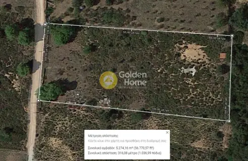Parcel 5000m<sup>2</sup> for sale photo 2