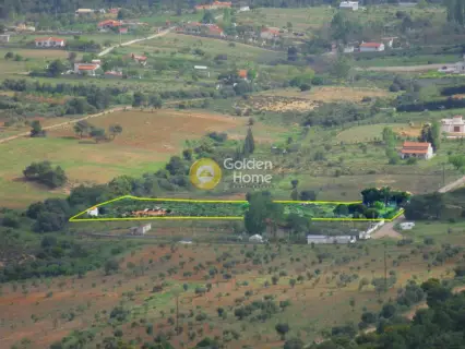 Parcel 5000m<sup>2</sup> for sale photo 5