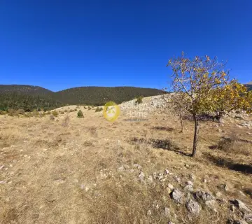 Μονοκατοικία 83τ.μ. προς πώληση φωτογραφία 4523298