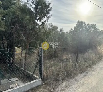 Residential 583m<sup>2</sup> for sale photo 2