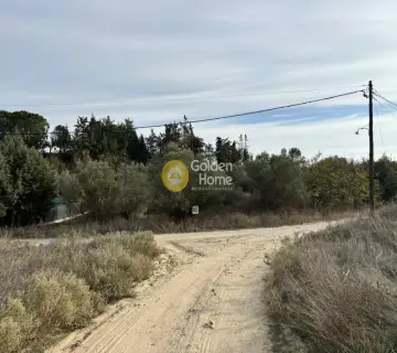 Residential 583m<sup>2</sup> for sale photo 6