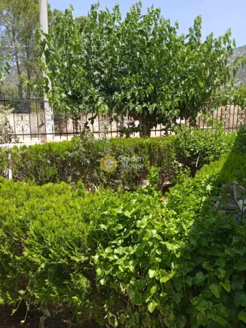 Μονοκατοικία 120τ.μ. προς πώληση φωτογραφία 13