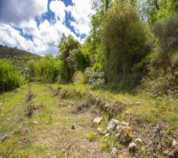 Residential 3398m<sup>2</sup> for sale photo 4551594