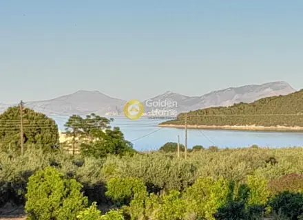 Μονοκατοικία 200τ.μ. προς πώληση φωτογραφία 1