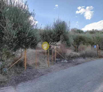 Residential 457m<sup>2</sup> for sale photo 3