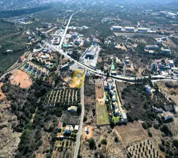 Golden Home Property Image