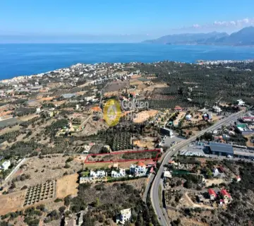 Golden Home Property Image