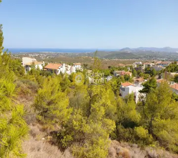 Οικιστικό 500τ.μ. προς πώληση φωτογραφία 4528584
