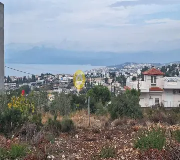 住宅 258m<sup>2</sup> for sale photo 3