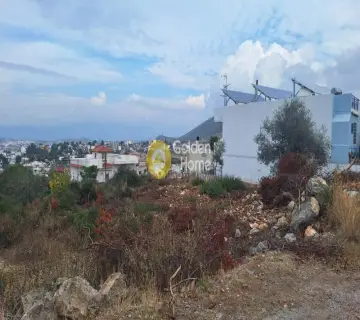 Golden Home Property Image