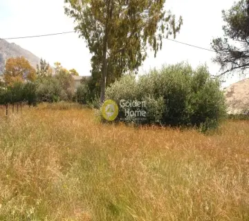 Residential 1853m<sup>2</sup> for sale photo 4531470